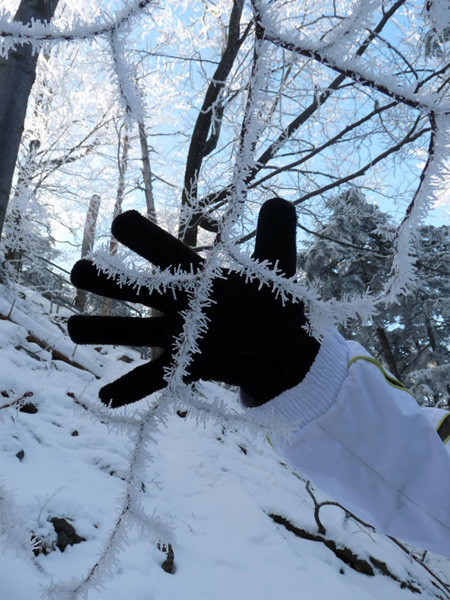 Kliknij na zdjęcie, żeby zobaczyć w pełnych wymiarach