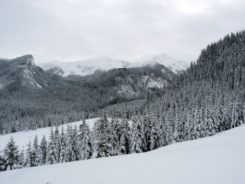 Kliknij na zdjęcie, żeby zobaczyć w pełnych wymiarach
