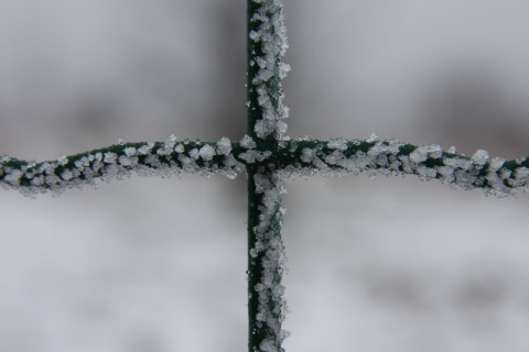 Kliknij na zdjęcie, żeby zobaczyć w pełnych wymiarach