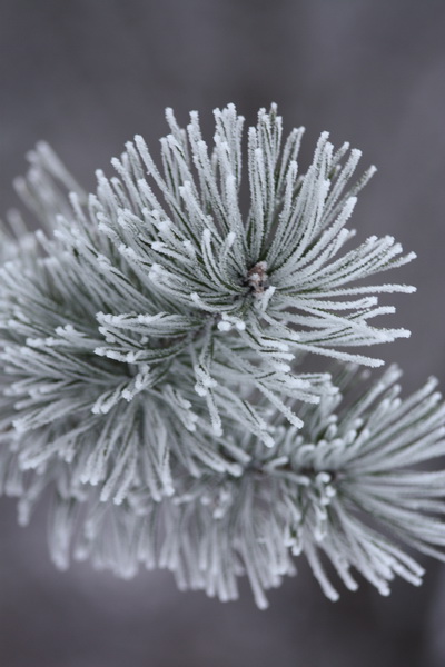 Kliknij na zdjęcie, żeby zobaczyć w pełnych wymiarach