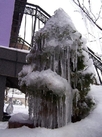 Kliknij na zdjęcie, żeby zobaczyć w pełnych wymiarach