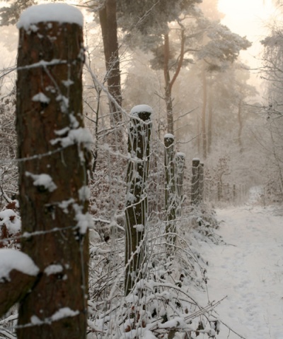 Kliknij na zdjęcie, żeby zobaczyć w pełnych wymiarach