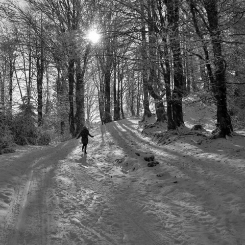 Kliknij na zdjęcie, żeby zobaczyć w pełnych wymiarach