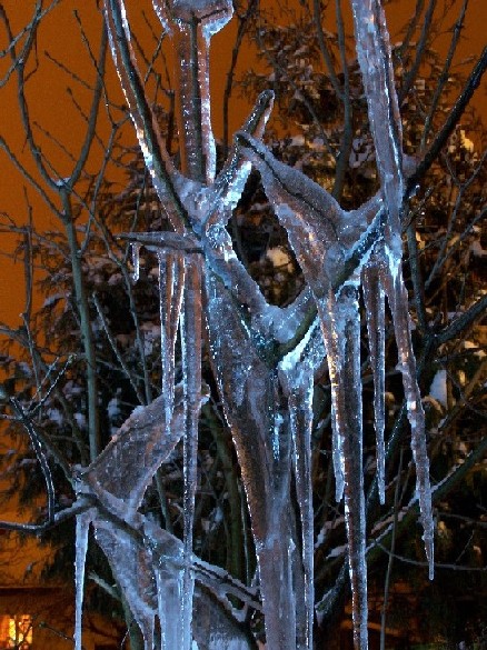 Kliknij na zdjęcie, żeby zobaczyć w pełnych wymiarach