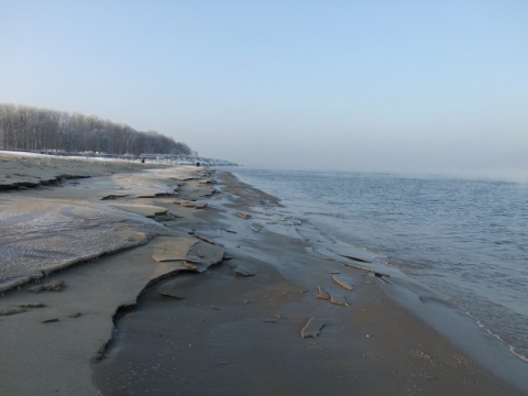 Kliknij na zdjęcie, żeby zobaczyć w pełnych wymiarach