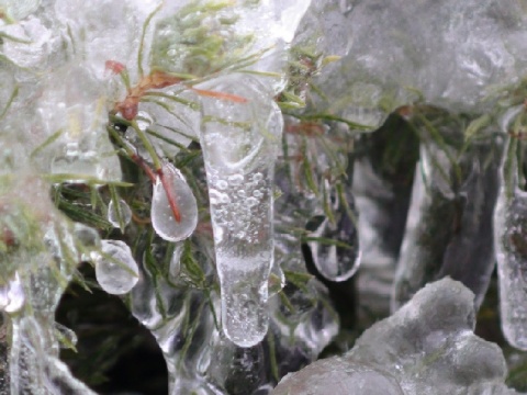 Kliknij na zdjęcie, żeby zobaczyć w pełnych wymiarach