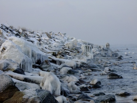 Kliknij na zdjęcie, żeby zobaczyć w pełnych wymiarach