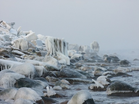 Kliknij na zdjęcie, żeby zobaczyć w pełnych wymiarach