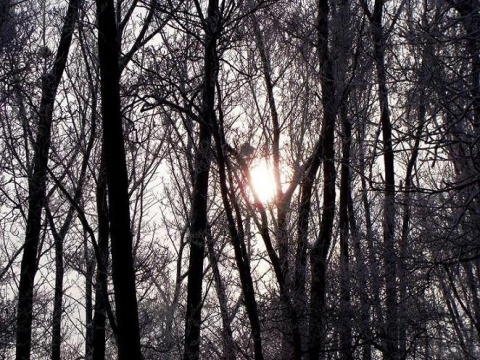 Kliknij na zdjęcie, żeby zobaczyć w pełnych wymiarach