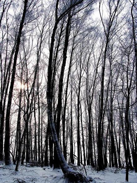 Kliknij na zdjęcie, żeby zobaczyć w pełnych wymiarach