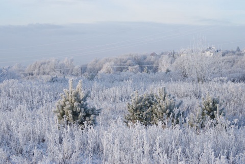 Kliknij na zdjęcie, żeby zobaczyć w pełnych wymiarach