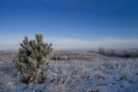 Kliknij na zdjęcie, żeby zobaczyć w pełnych wymiarach