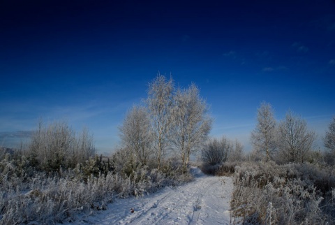 Kliknij na zdjęcie, żeby zobaczyć w pełnych wymiarach
