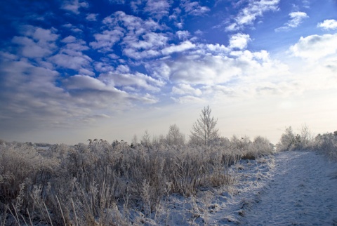Kliknij na zdjęcie, żeby zobaczyć w pełnych wymiarach
