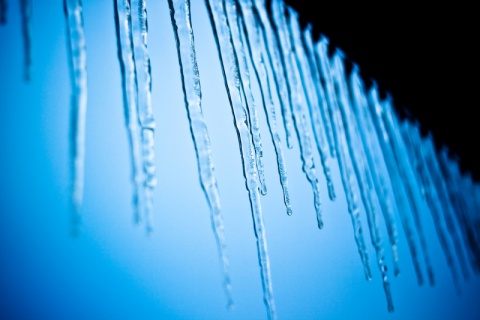 Kliknij na zdjęcie, żeby zobaczyć w pełnych wymiarach