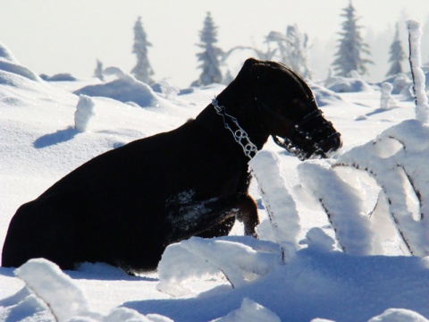 Kliknij na zdjęcie, żeby zobaczyć w pełnych wymiarach