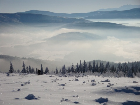 Kliknij na zdjęcie, żeby zobaczyć w pełnych wymiarach