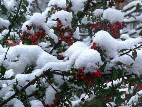 Kliknij na zdjęcie, żeby zobaczyć w pełnych wymiarach