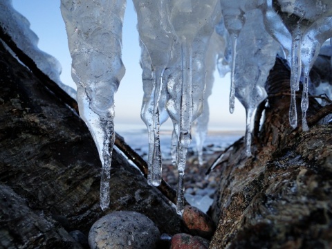 Kliknij na zdjęcie, żeby zobaczyć w pełnych wymiarach