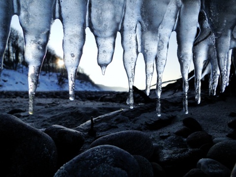 Kliknij na zdjęcie, żeby zobaczyć w pełnych wymiarach