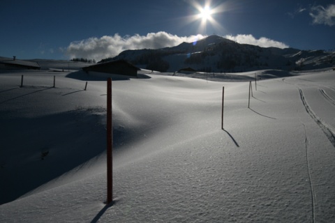 Kliknij na zdjęcie, żeby zobaczyć w pełnych wymiarach