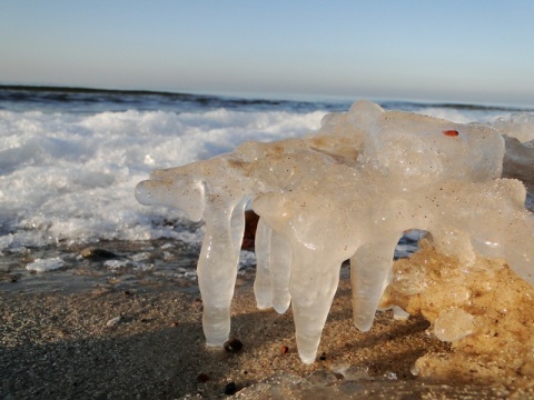 Kliknij na zdjęcie, żeby zobaczyć w pełnych wymiarach