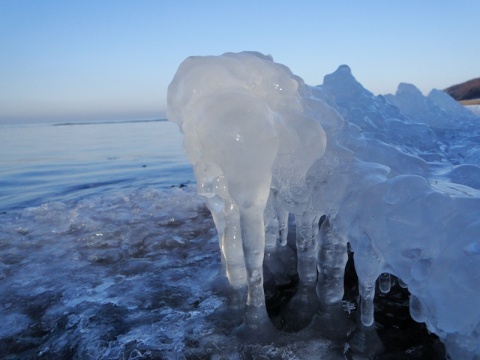 Kliknij na zdjęcie, żeby zobaczyć w pełnych wymiarach