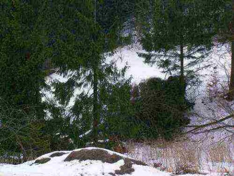 Kliknij na zdjęcie, żeby zobaczyć w pełnych wymiarach