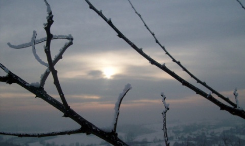 Kliknij na zdjęcie, żeby zobaczyć w pełnych wymiarach