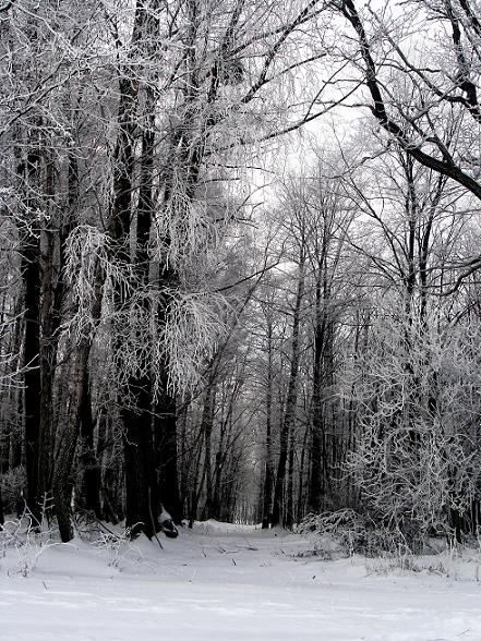 Kliknij na zdjęcie, żeby zobaczyć w pełnych wymiarach