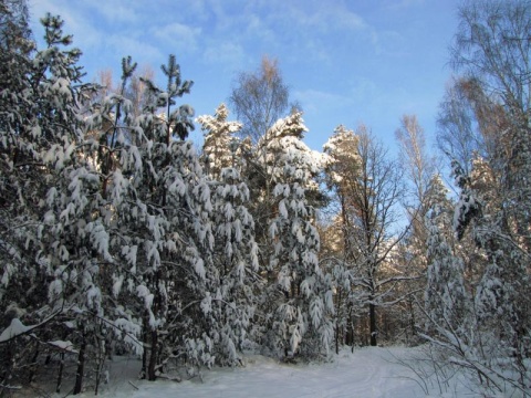 Kliknij na zdjęcie, żeby zobaczyć w pełnych wymiarach