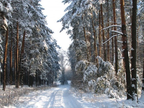 Kliknij na zdjęcie, żeby zobaczyć w pełnych wymiarach