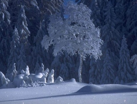 Kliknij na zdjęcie, żeby zobaczyć w pełnych wymiarach