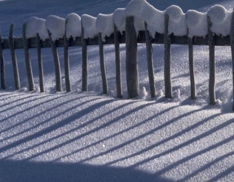 Kliknij na zdjęcie, żeby zobaczyć w pełnych wymiarach