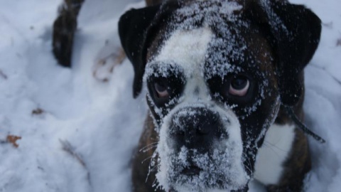 Kliknij na zdjęcie, żeby zobaczyć w pełnych wymiarach