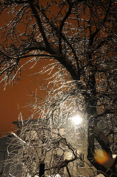 Kliknij na zdjęcie, żeby zobaczyć w pełnych wymiarach