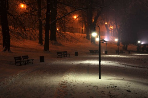 Kliknij na zdjęcie, żeby zobaczyć w pełnych wymiarach