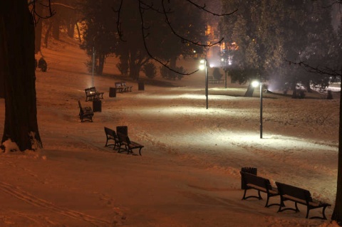 Kliknij na zdjęcie, żeby zobaczyć w pełnych wymiarach