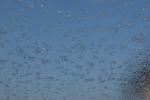 Kliknij na zdjęcie, żeby zobaczyć w pełnych wymiarach