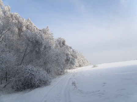Kliknij na zdjęcie, żeby zobaczyć w pełnych wymiarach