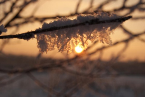 Kliknij na zdjęcie, żeby zobaczyć w pełnych wymiarach