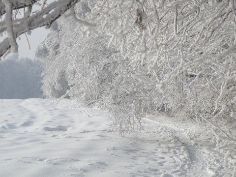 Kliknij na zdjęcie, żeby zobaczyć w pełnych wymiarach