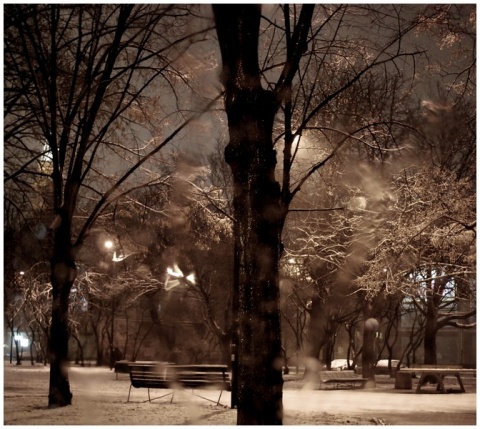 Kliknij na zdjęcie, żeby zobaczyć w pełnych wymiarach