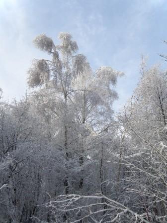 Kliknij na zdjęcie, żeby zobaczyć w pełnych wymiarach