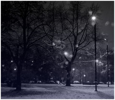 Kliknij na zdjęcie, żeby zobaczyć w pełnych wymiarach