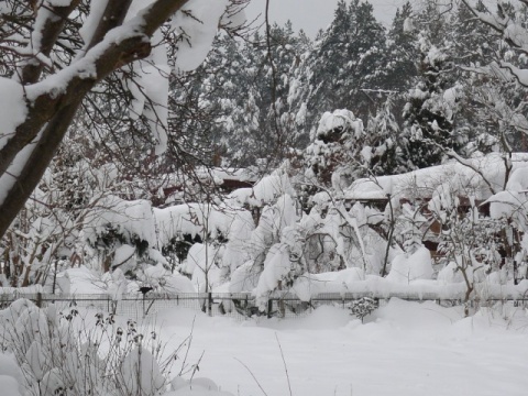Kliknij na zdjęcie, żeby zobaczyć w pełnych wymiarach