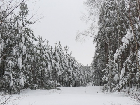 Kliknij na zdjęcie, żeby zobaczyć w pełnych wymiarach