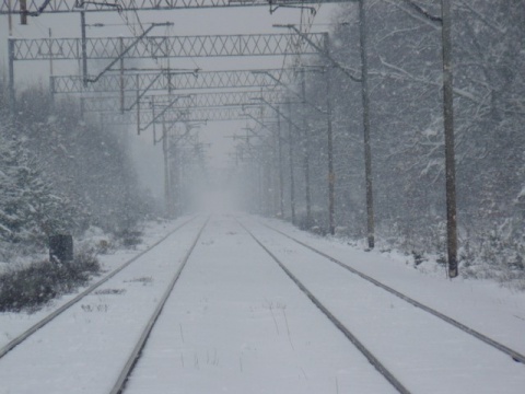 Kliknij na zdjęcie, żeby zobaczyć w pełnych wymiarach