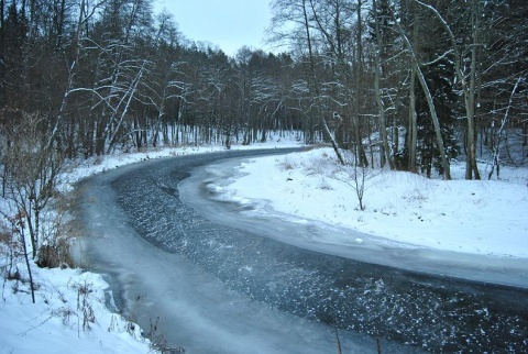 Kliknij na zdjęcie, żeby zobaczyć w pełnych wymiarach