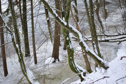 Kliknij na zdjęcie, żeby zobaczyć w pełnych wymiarach